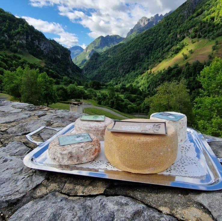 Chateau D'Arance Hotel Restaurant Espace Bien-Etre Cette-Eygun Екстер'єр фото